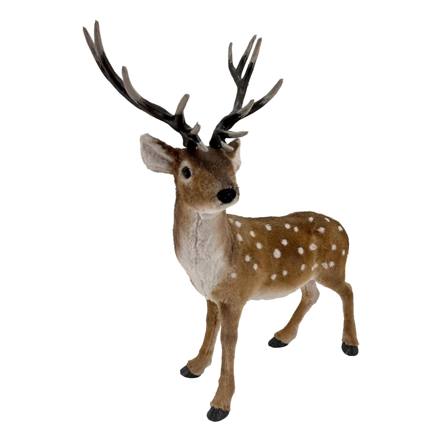 63cm Standing Deer