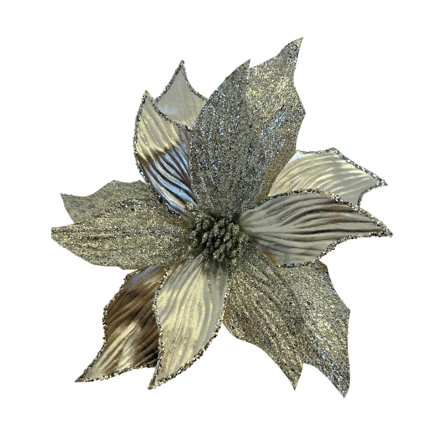 Silver Poinsettia - 6 Pack