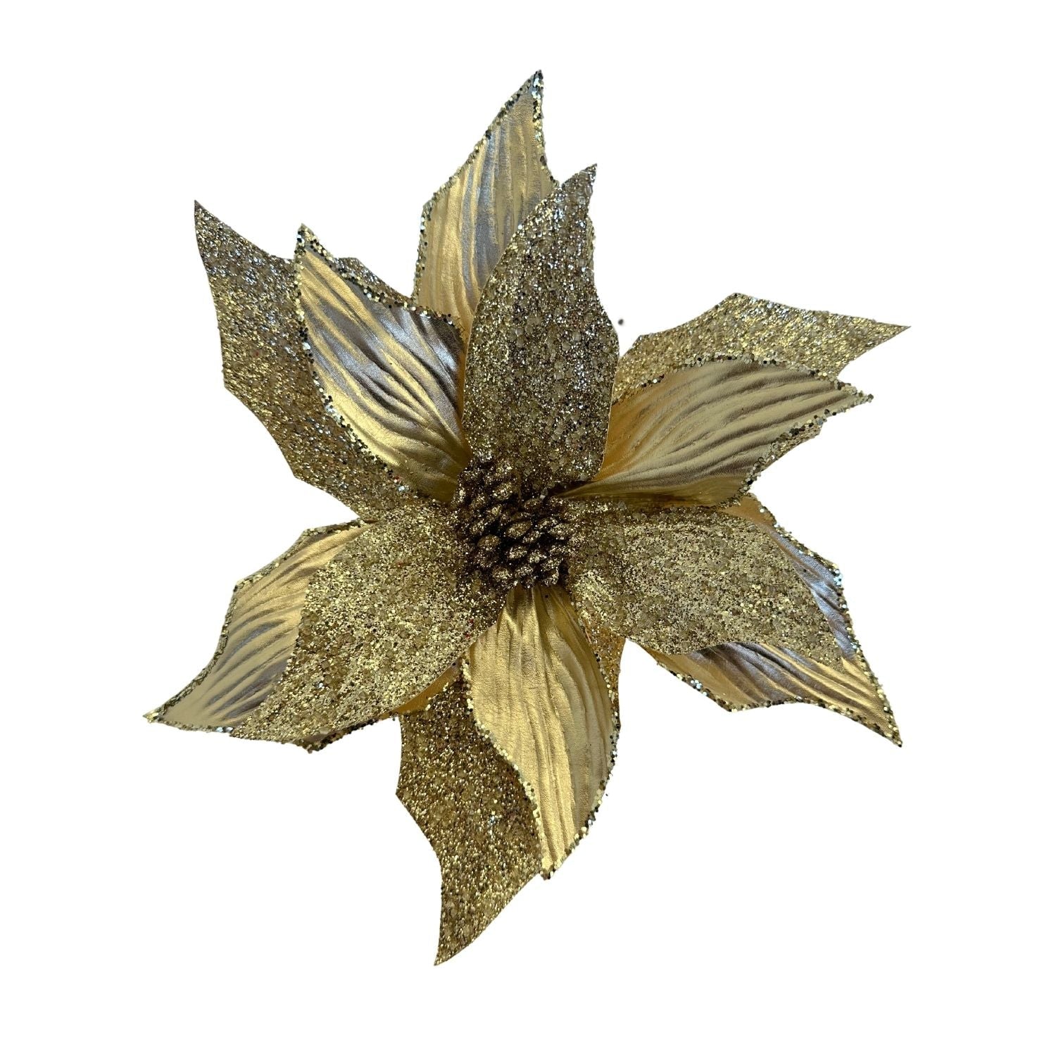 Champagne Poinsettia - 6 Pack