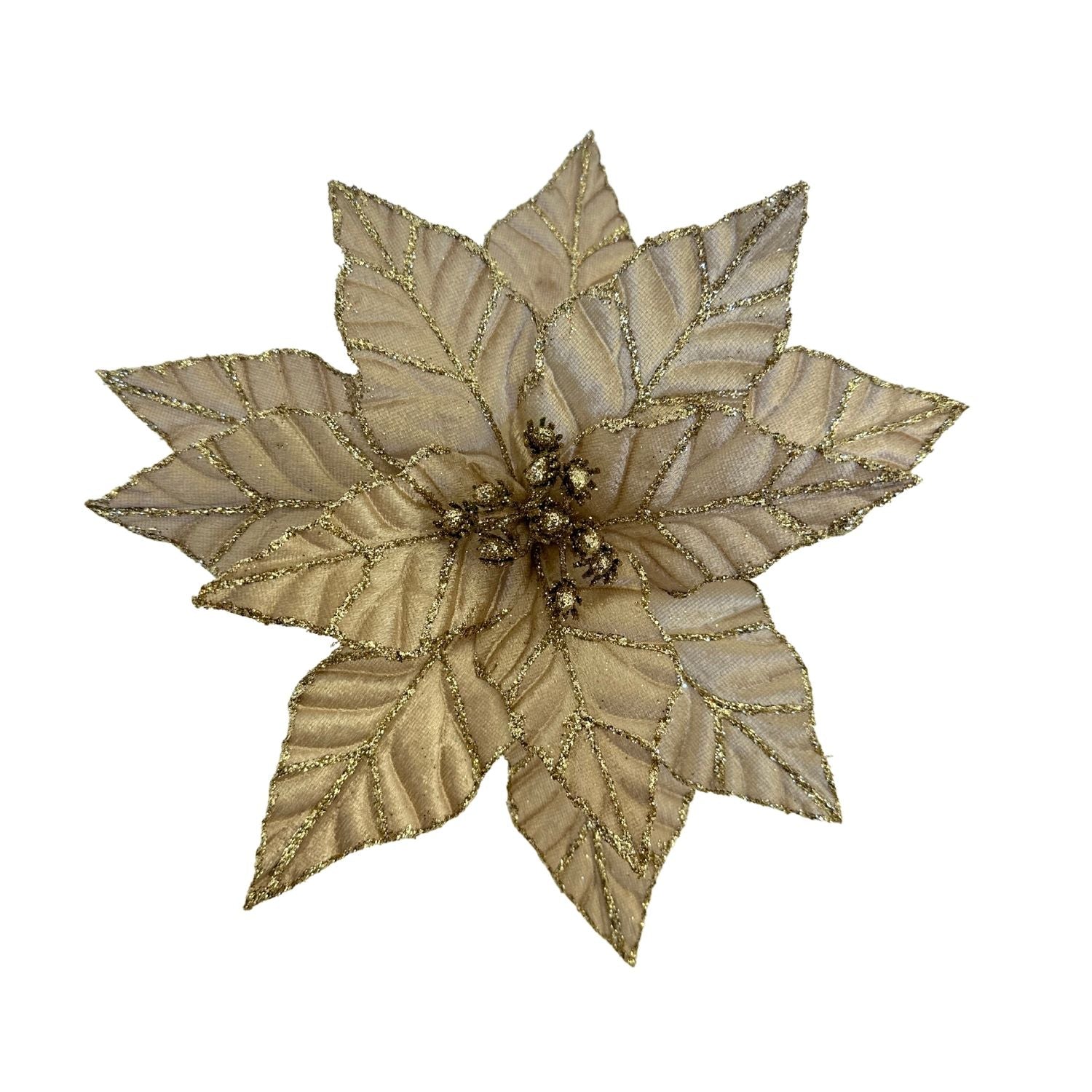 Champagne Double Poinsettia - 6 Pack