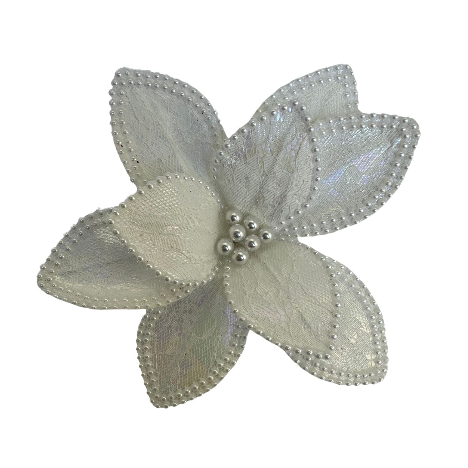 White Poinsettia - 6 Pack