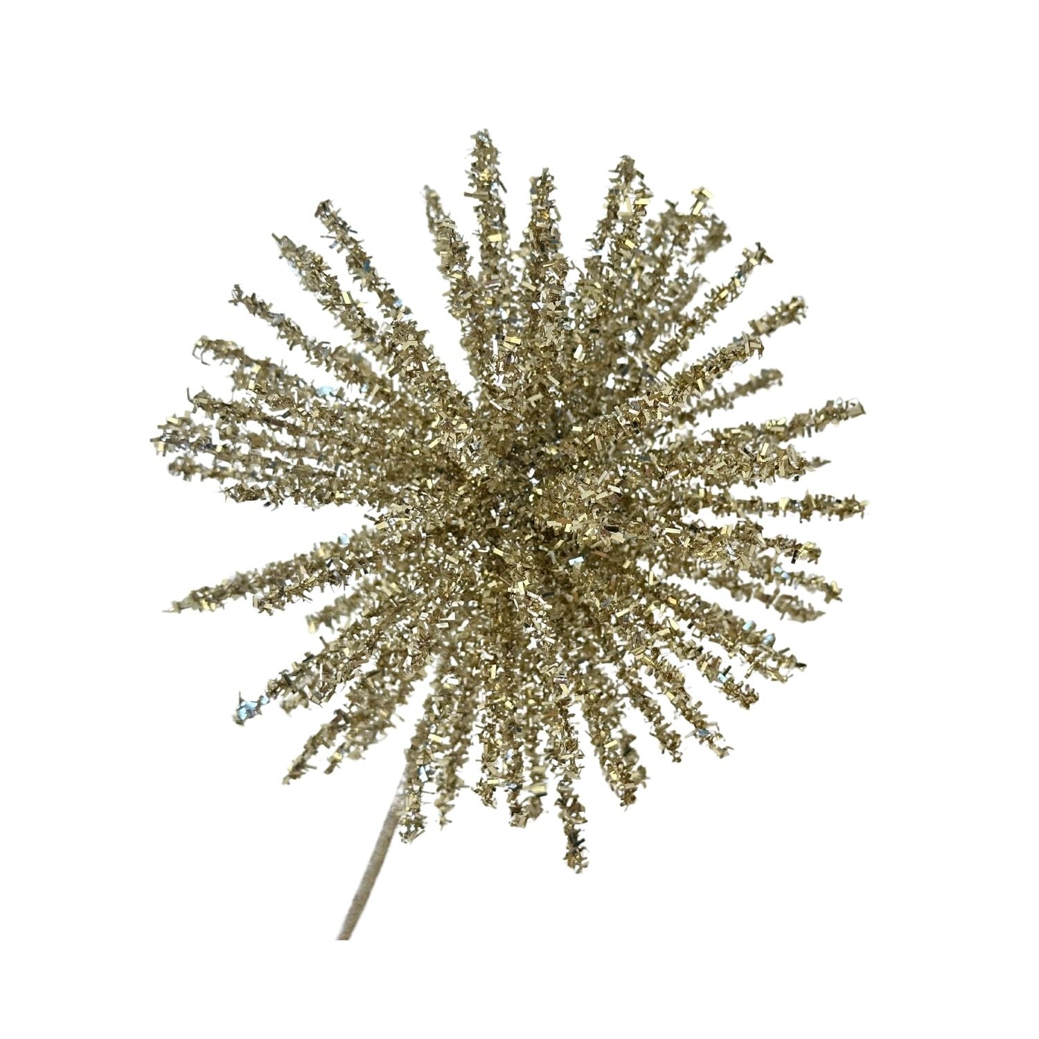 Champagne Burst Spray - 6 Pack